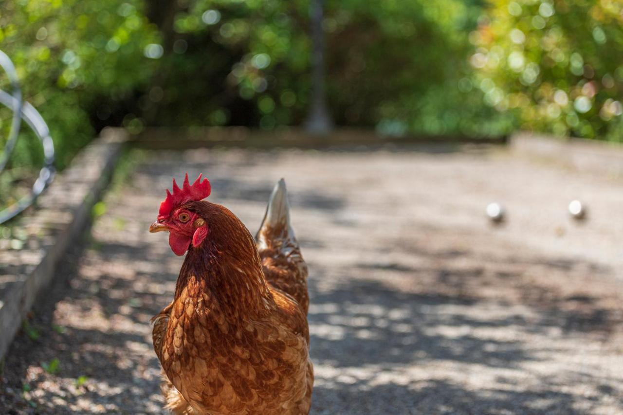 La Pampa En Provence - Les Suites Privatives Pontevès Esterno foto